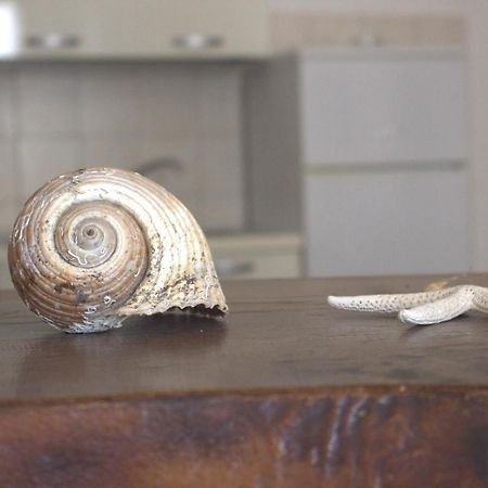 Apartament Lido Dei Miracoli Lido Conchiglia Zewnętrze zdjęcie